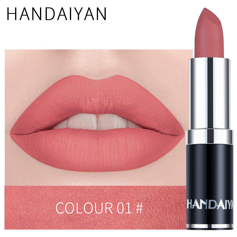 Cross-border velvet lipstick beauty care HANDAIYAN long lasting waterproof Amazon hot matte lipstick lip balm