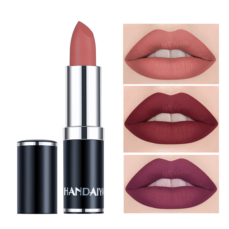 Cross-border velvet lipstick beauty care HANDAIYAN long lasting waterproof Amazon hot matte lipstick lip balm
