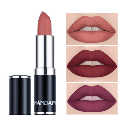 Cross-border velvet lipstick beauty care HANDAIYAN long lasting waterproof Amazon hot matte lipstick lip balm