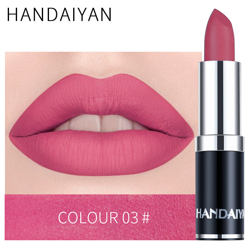 Cross-border velvet lipstick beauty care HANDAIYAN long lasting waterproof Amazon hot matte lipstick lip balm