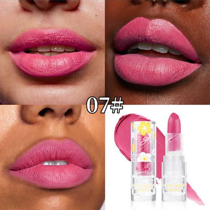 Cross-border Matte Lipstick 12 colors handaiyan makeup matte waterproof colorfast long-lasting Nourishing Lipstick Lipstick