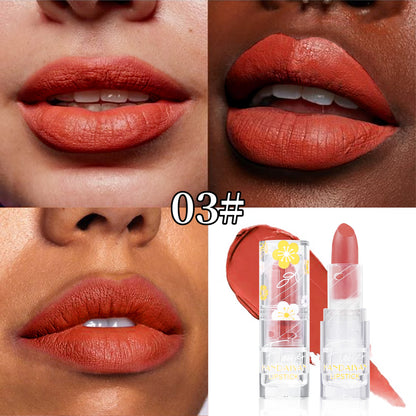Cross-border Matte Lipstick 12 colors handaiyan makeup matte waterproof colorfast long-lasting Nourishing Lipstick Lipstick