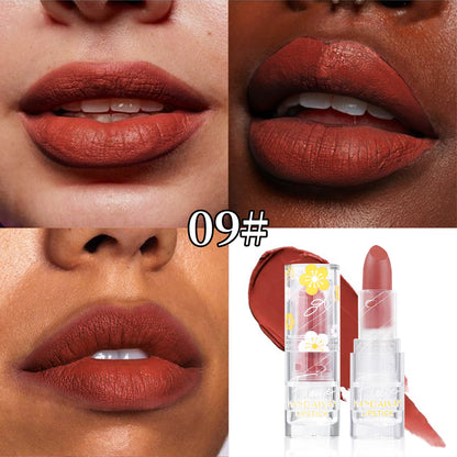 Cross-border Matte Lipstick 12 colors handaiyan makeup matte waterproof colorfast long-lasting Nourishing Lipstick Lipstick