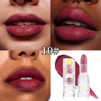Cross-border Matte Lipstick 12 colors handaiyan makeup matte waterproof colorfast long-lasting Nourishing Lipstick Lipstick