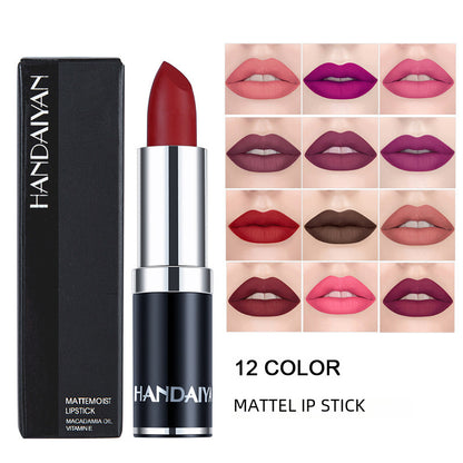 Cross-border velvet lipstick beauty care HANDAIYAN long lasting waterproof Amazon hot matte lipstick lip balm