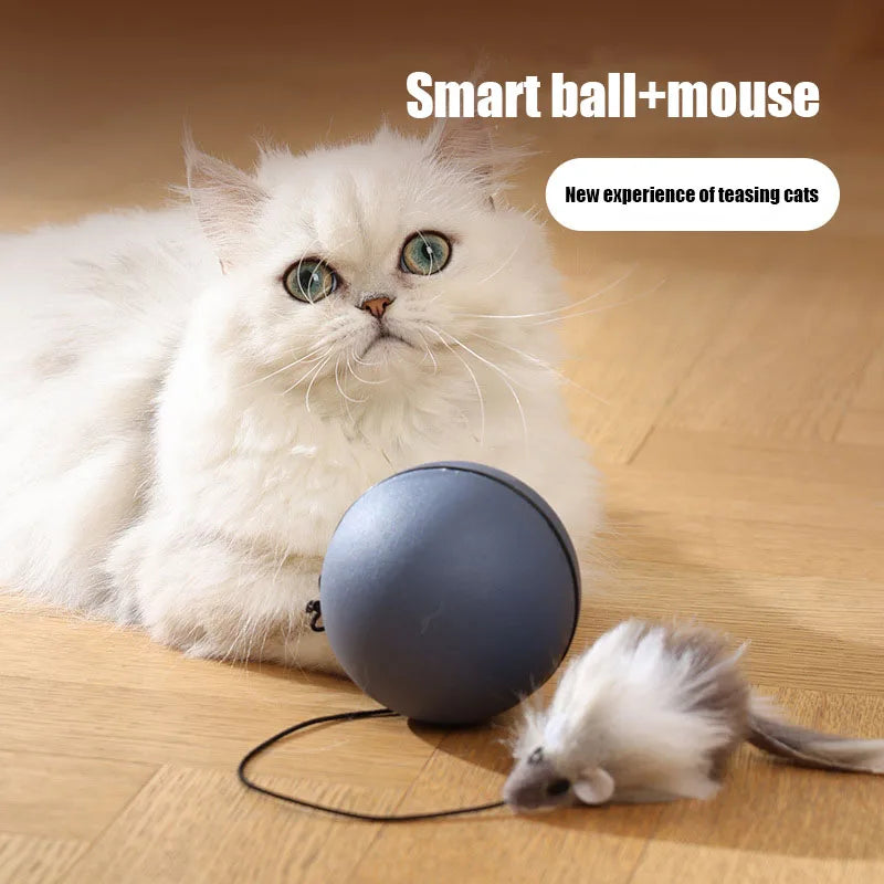 Kimpets Cat Toys Mouse Teaser Ball Fun Moving Toy For Pet Cat Dog Electric Teaser Ball Automatic Intelligent Rolling Ball