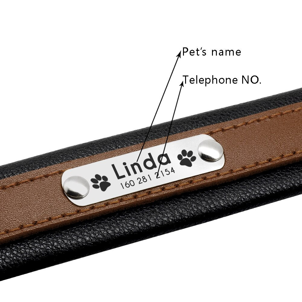Large Dog Collar Genuine Leather Dog Collar Personalized Pet Name ID Collar Padded Customized For Medium Large Dogs